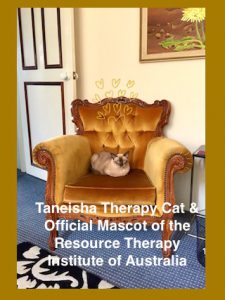 Taneisha Tanesiha unoffical Therapy feline of Marriage Works. Animals offer uncondtional loving.