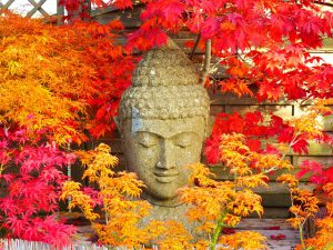 buddha-2505791_640 buddha-2505791_640