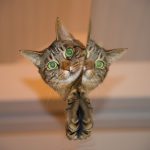 Pussy cat reflecting on the dialogue
