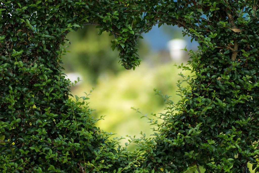 heart-1192662_1920 Big Love to you all xx