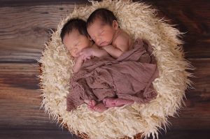 twins-1628843_1920 The circle of life