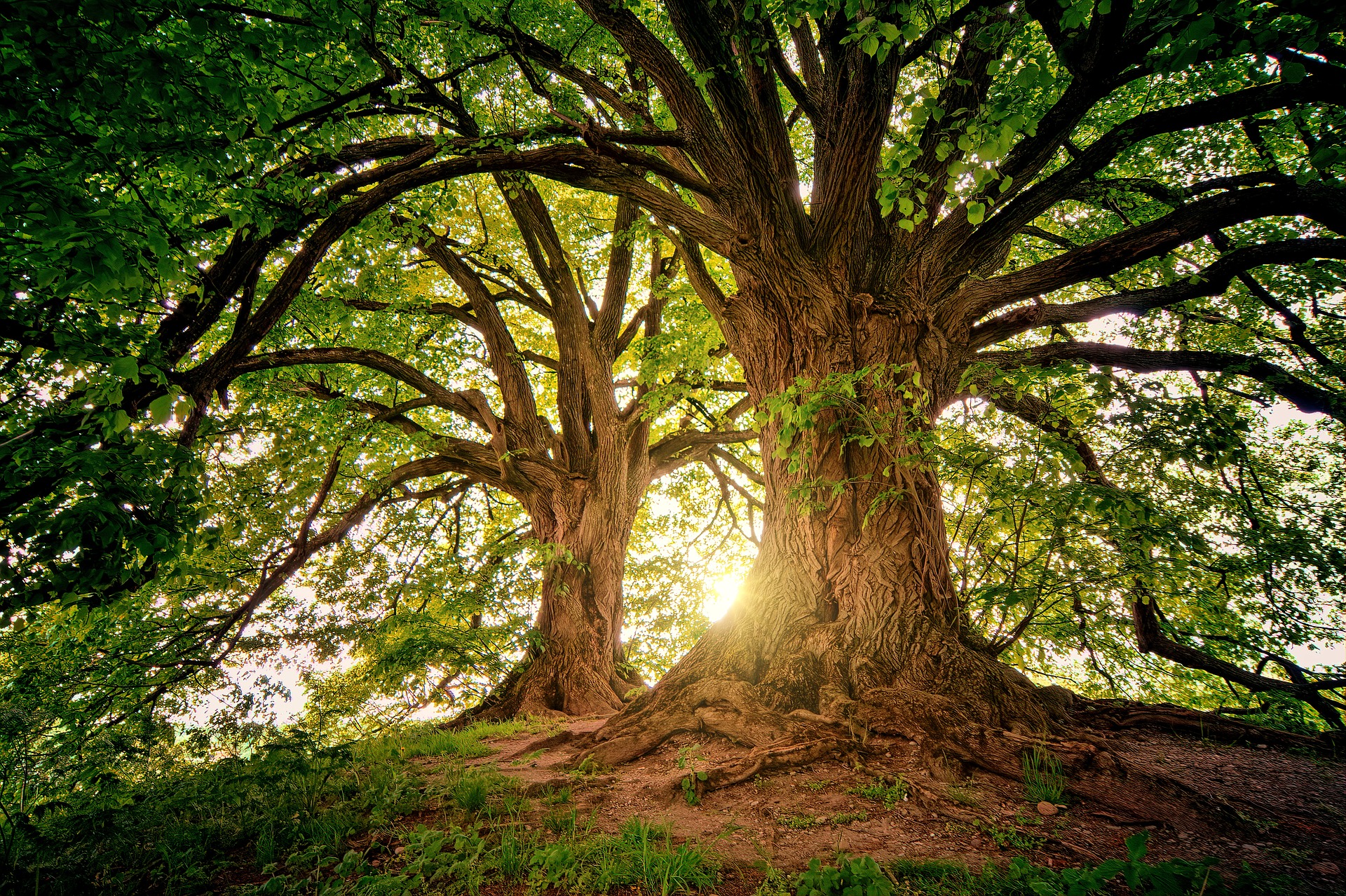 Grow to new heights of insight and discovery with skilled relationship coaches at Marriage Works