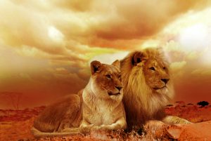 Image by Christine Sponchia from Pixabay Togetherness
