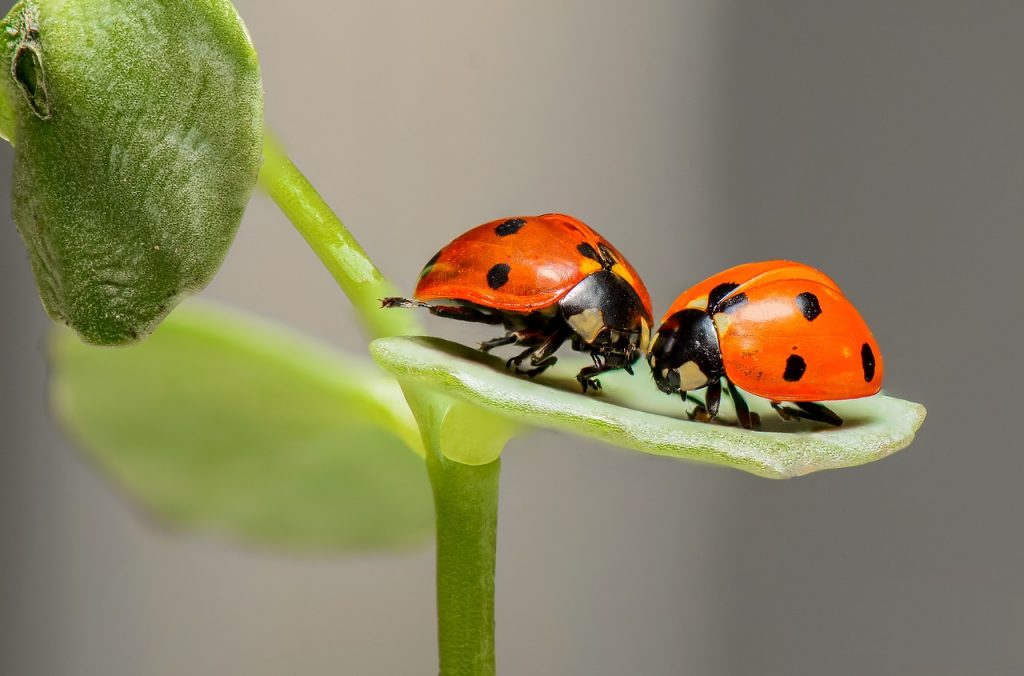 Get your love bug back Sydney couples retreat