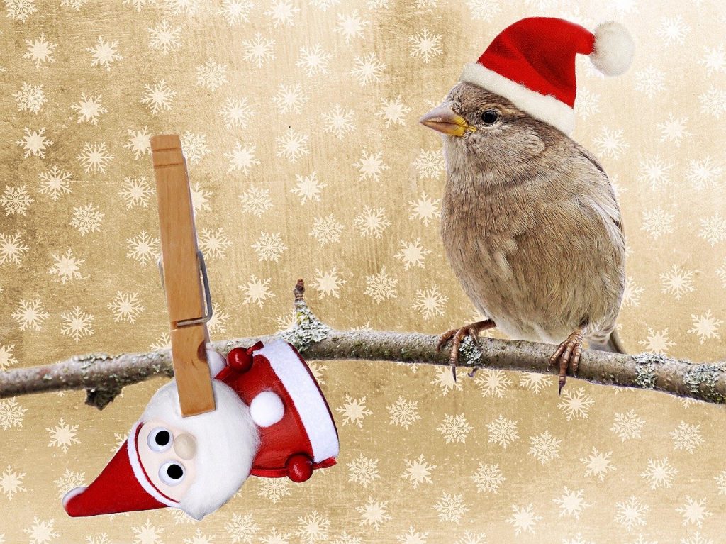 What keeps you on your perch?
